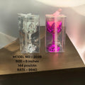 2039 (144)-CANDLE