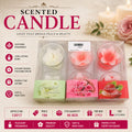 12017 (96BOX)-WAX CANDLE