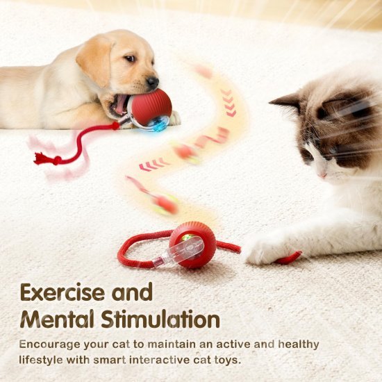 Automatic Cat Teaser Ball Red Rolling Ball