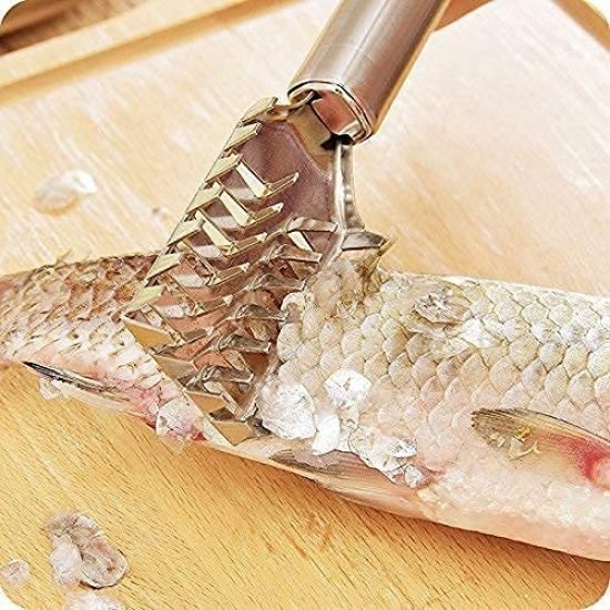 Fish Scale Remover Scraper