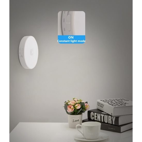 Motion Sensor Light