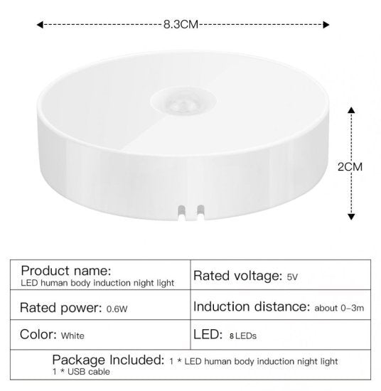 Motion Sensor Light