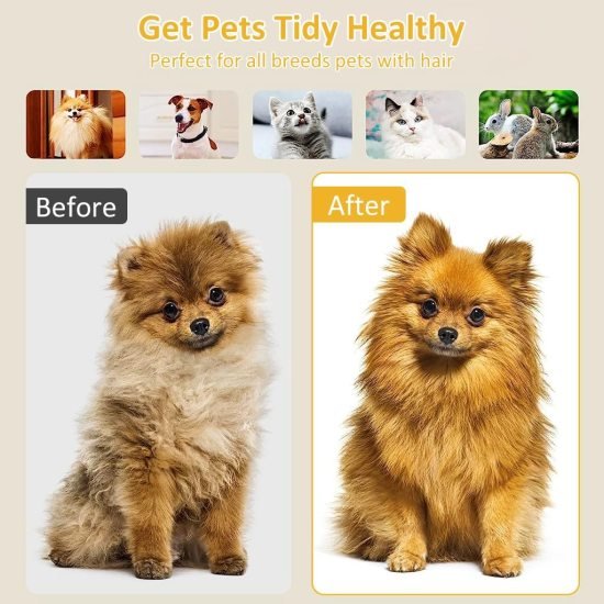Pet Hair Remover Comb - 929